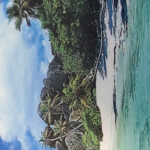 ISO Kendra Scott Silver charm bracelet